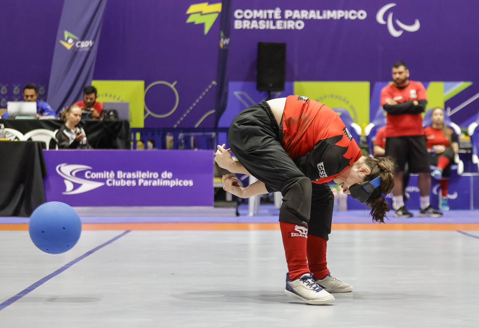 54906043514_351fa0f8ef_o - Copia.jpg