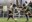 Em clima de revanche, AGAFUC e CORINTHIANS jogam pela Liga neste sábado