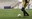 Série B do Brasileiro de futebol de cegos começa na próxima semana, em SP
