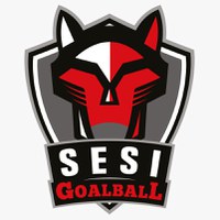 SESI GOALBALL.jpeg